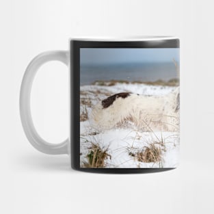 English Springer spaniel Mug